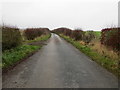 Hedge-lined minor road heading towards Stichill