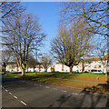 Davy Road: flats and fine trees