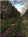 Track towards Ladbroke