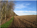 Field - wood boundary north of Knockin