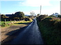 Recently built houses along Cloghinny Road