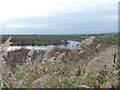 TQ5479 : View across Rainham Marshes RSPB Reserve by Marathon
