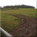 Towards trees south of Llanfaes, Brecon