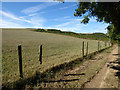 Field beyond Cliff Road, Gorran Haven