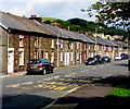 Fronwen Terrace, Ogmore Vale