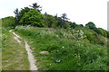 Cleveland Way at White Nab, Scarborough