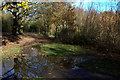 Flooded path by Singleton lake