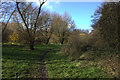 Path through Buxford Meadows