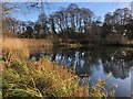 Nunnery Lakes, Thetford