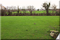 Pasture north of Langaller