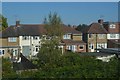 Houses, Winchester Avenue