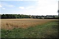 Wheat field, Marston