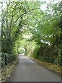 Road in a leafy tunnel, near Polsue