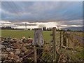 NH5452 : Newmore Trig Pillar by valenta