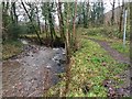 Footpath and stream at Pentrebach