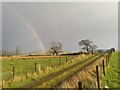 Farm Track at Drummore