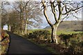 NS6089 : Country road near Provanston Farm by Alan Reid