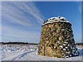 NH7444 : The Memorial Cairn on the Culloden Battlefield by Julian Paren