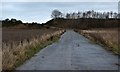 Gowrie Quarry access road