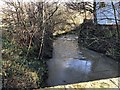 The River Lod at Halfway Bridge