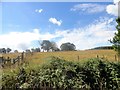 Fields south of the old railway