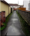 Lane to Ffynnon Dewi, Llanfaes, Brecon