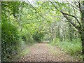 Heligan carriage drive