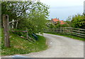 Driveway to Stoupe Brow Farm