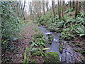 Llwybr glan nant / stream side path