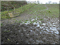 Very muddy field at Owlet Farm