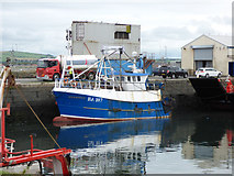 NS3031 : Troon harbour by Thomas Nugent