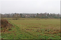 SO8697 : Pasture by Smestow Brook south of Wightwick, Wolverhampton by Roger  D Kidd