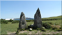 V9722 : Cape Clear Island - Marriage stone (Stone Row) by Colin Park