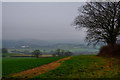 Taunton Deane : Countryside Scenery