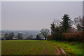 Taunton Deane : Grassy Field