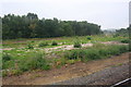 Waste land between railway lines at Heaton Lodge Junction