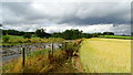 Cumbria Way beside the R Caldew, NE of Crookholme Mill