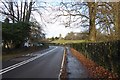 A272 approaching Tillington