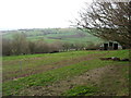 Fields east of Llangernyw