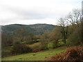 Woods north of Glyn Lledr