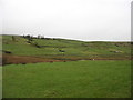 Farmland at Llwyn Gwgan