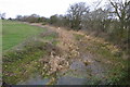 Channel round the Floodplain Forest