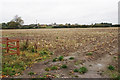 SP2595 : Field of stubble near Hurley by Bill Boaden