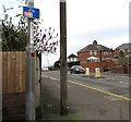 Cycle route 88 sign on a Lodge Road lamppost, Caerleon