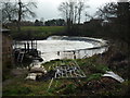 The River Teme (Ashford Carbonell)