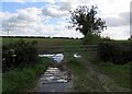 Gate and field on south side of Hydes Lane