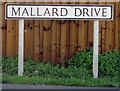 Mallard Drive sign on the eastern side