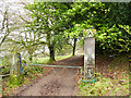 SJ9359 : Cliffe Park Hall, gateposts by Stephen Craven