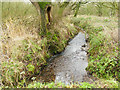 Minor stream feeding Rudyard Lake