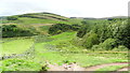 Track leading down to Hazeltonrig, Cheviots